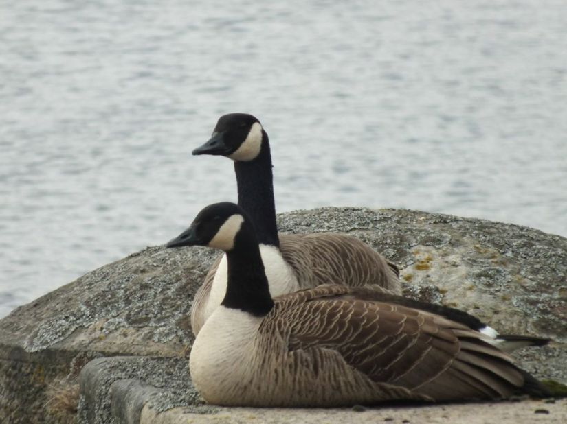 0fDi2gNLUAHfGjJuSVXCsOqi1WcpG--SfKXF_i5gG2g