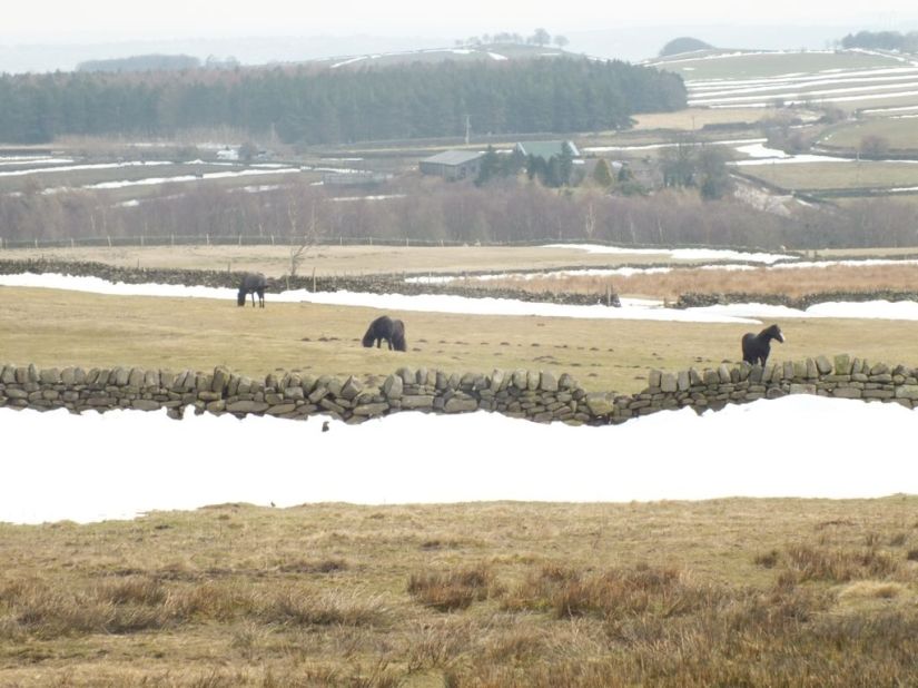 0Uq29g6yjCkfJVXHrNvVLXpkY03RhCVsg_hBU1RlDlw