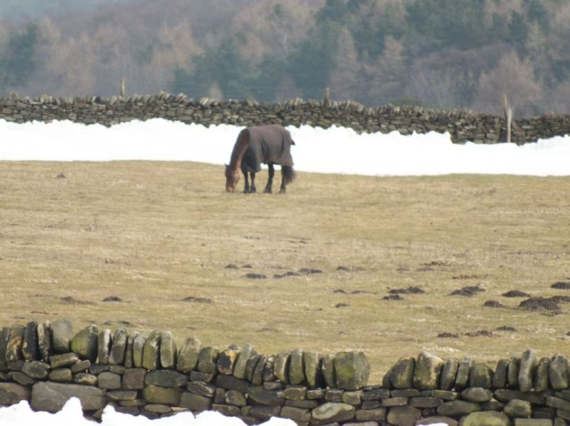 3sdK954uH6Gb1D-EnJMMQa17nUVZpGeA3ZYmWjQzNJ4