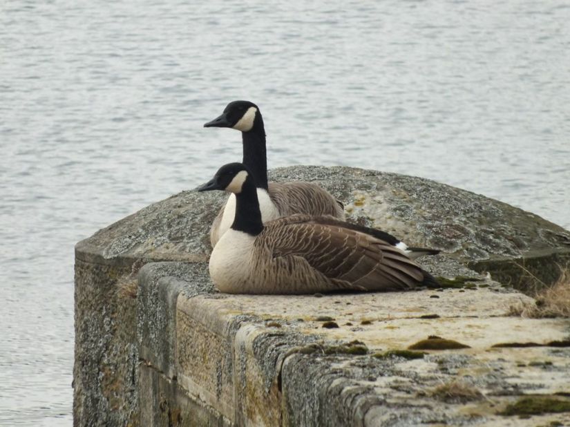 4wWMiT2dyAOpdJmEyOVVnHi4gAnfAd1jvCBv1uyPuDw