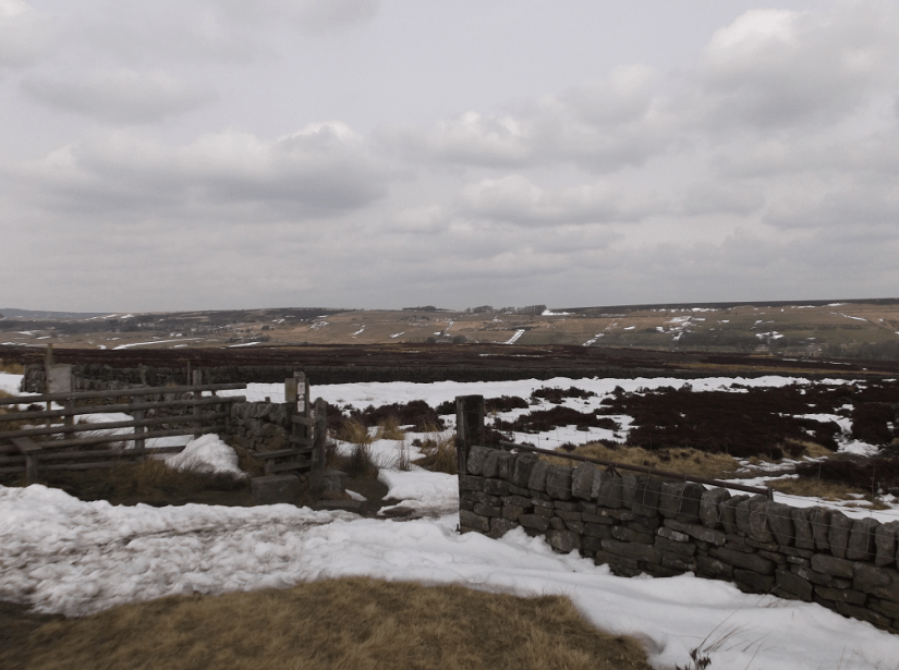 Back To Civilisation