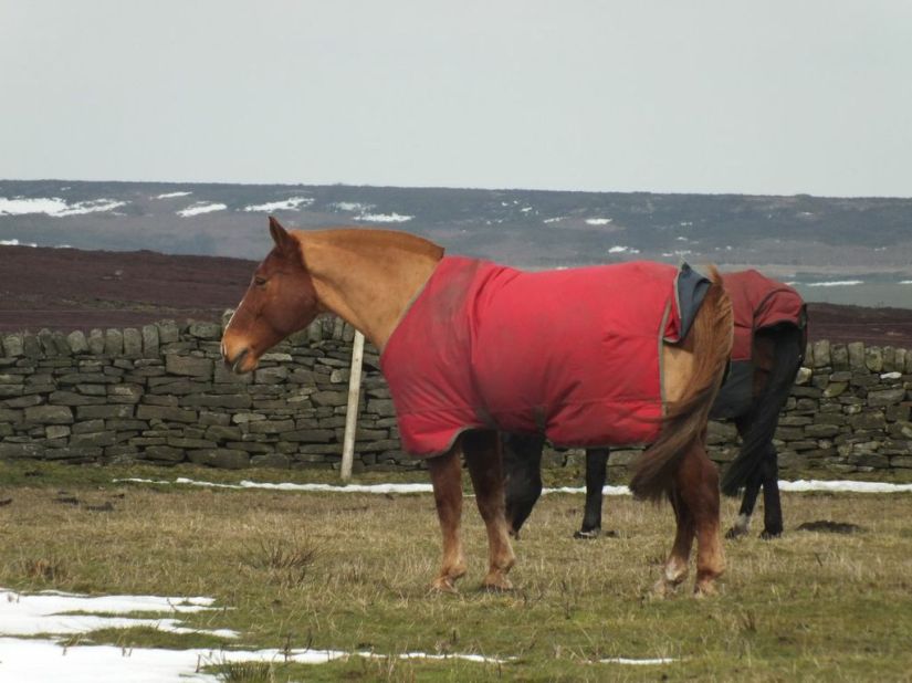"Huh, not feeding me."