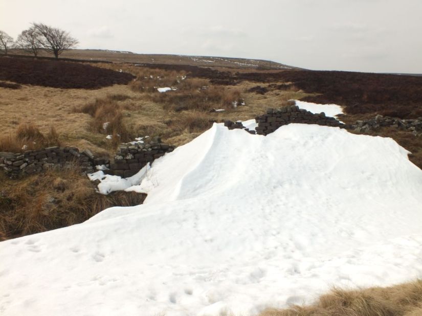 mSv98HET9en6UJDLTtFkwTxE9H3lcMlycuCrNeFQ-bE