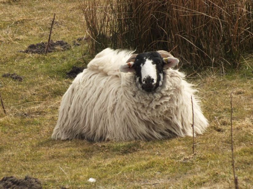 niyFxEUU1lV5bzm0PSplEbF-oemm3Z0LWCmK1c0m5HU