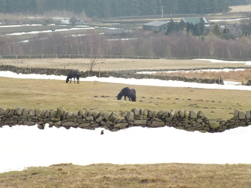 oDakV-PVGEo-6DAzxx4ad9gxj6uliM2z0hf-9qF6ryo