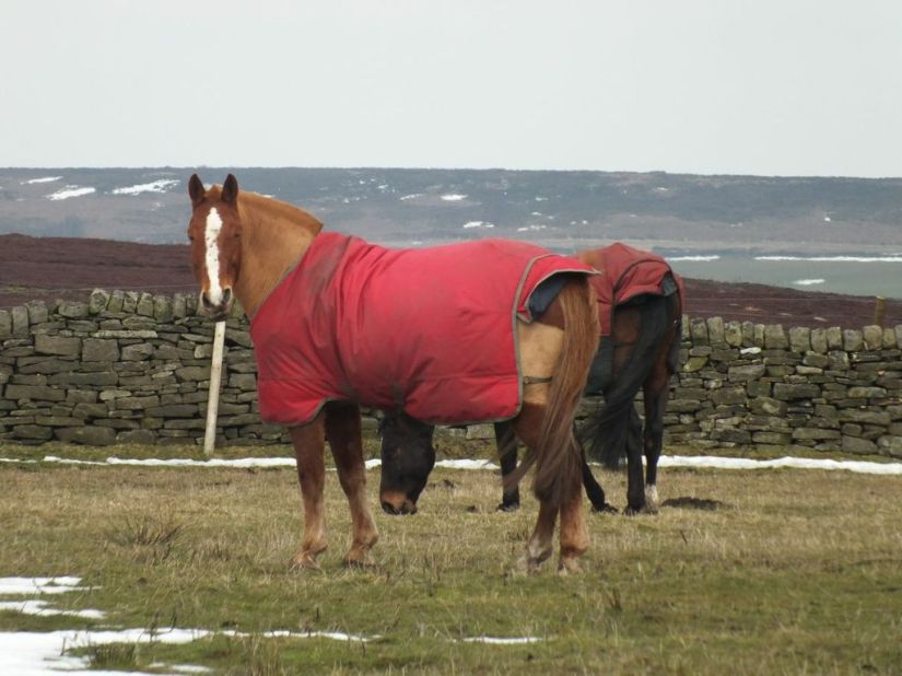 "What are you doing?"