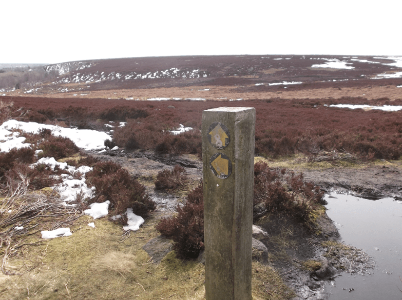 Look, we're not lost, there's a sign!